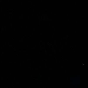 Meet your Posher, Fritz